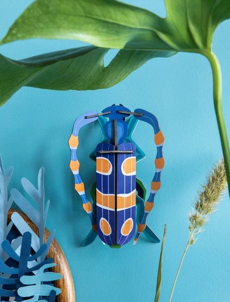 Studio Roof Rosalia Beetle 4 Studio Roof Rosalia Beetle