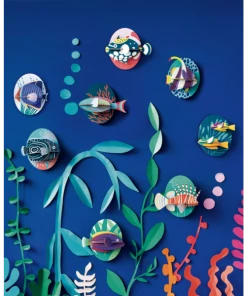 Studio Roof Clown Triggerfish