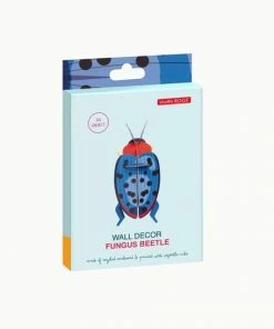 Studio Roof Fungus Beetle