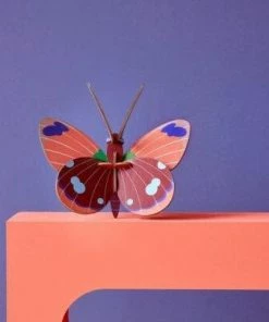 Studio Roof Delias Butterfly 3D Model Kit