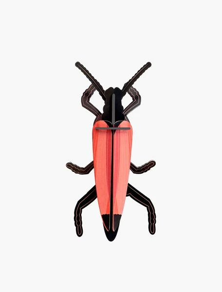 Studio Roof Longhorn Beetle Wall Decoration 3 Studio Roof Longhorn Beetle Wall Decoration