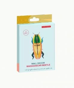 Studio Roof Madagascar Beetle