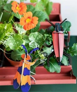 Studio Roof Winged Beetle Wall Decoration