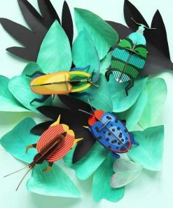 Studio Roof Madagascar Beetle