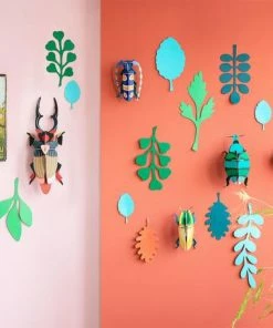 Studio Roof Wall Of Curiosities Beetle Antiquary 7 Studio Roof Wall Of Curiosities Beetle Antiquary