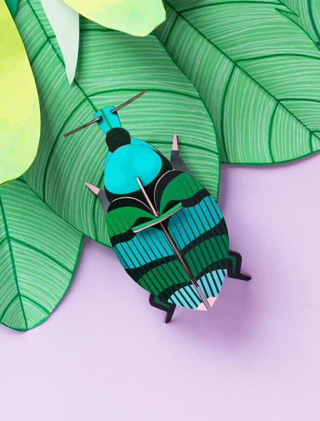 Studio Roof Weevil Beetle 3 Studio Roof Weevil Beetle