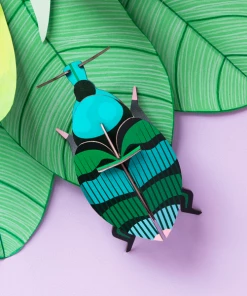 Studio Roof Weevil Beetle