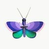 Studio Roof Blue Copper Butterfly 3D Model Kit 2 Studio Roof Blue Copper Butterfly 3D Model Kit