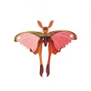 Studio Roof Pink Comet Butterfly