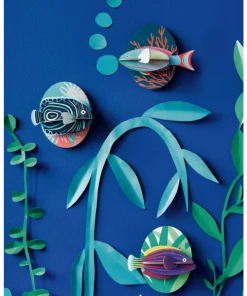 Studio Roof Parrotfish