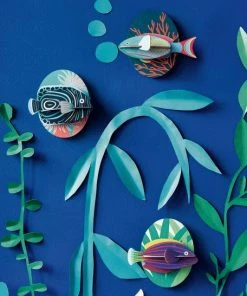 Studio Roof Emperor Angel Fish