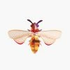Studio Roof 3D Insect Small Honey Bee