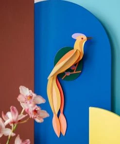 Studio Roof Pajaro Olango