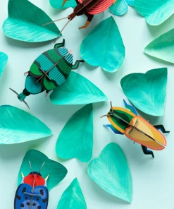 Studio Roof Madagascar Beetle 3 D Model Kit