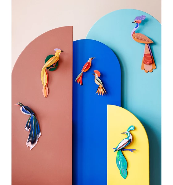 Studio Roof Paradise Bird Olango 3 Studio Roof Paradise Bird Olango