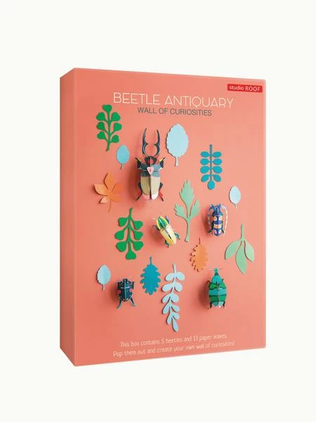 Studio Roof Wall Of Curiosities Beetle Antiquary 3 Studio Roof Wall Of Curiosities Beetle Antiquary