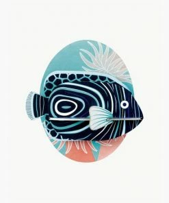 Studio Roof Emperor Angel Fish