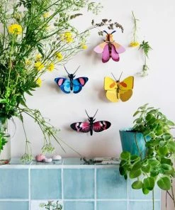 Studio Roof Longwing Butterfly