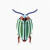 Studio Roof Rainbow Leaf Beetle 3d Model Kit