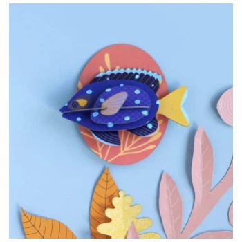 Studio Roof Jewel Damselfish 4 Studio Roof Jewel Damselfish