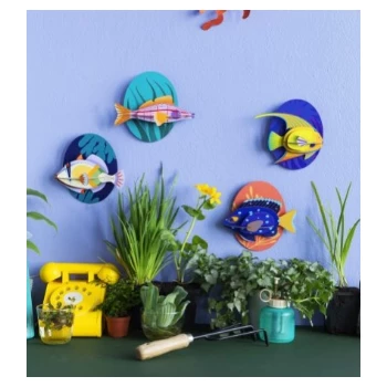 Studio Roof Jewel Damselfish 5 Studio Roof Jewel Damselfish