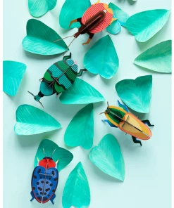 Studio Roof Fungus Beetle