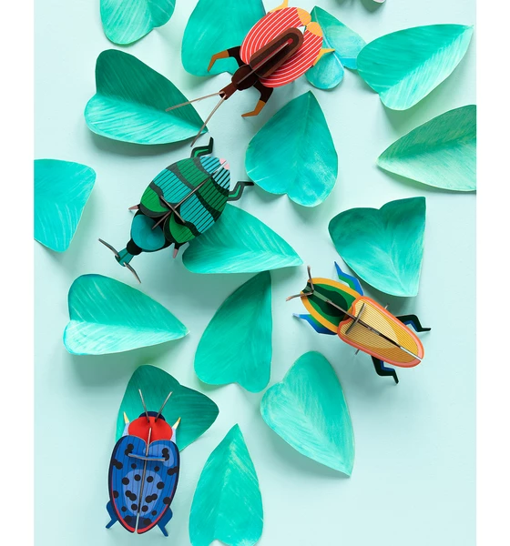 Studio Roof Fungus Beetle 3 Studio Roof Fungus Beetle