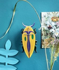 Studio Roof Click Beetle