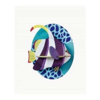 Studio Roof Marine AngelFish 3 Studio Roof Marine AngelFish