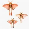 Studio Roof Comet Butterflies Set Of 3