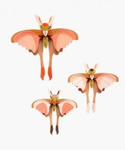 Studio Roof Comet Butterflies Set Of 3