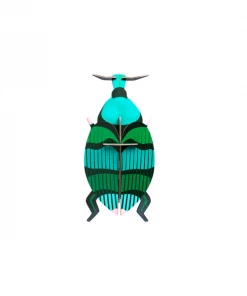 Studio Roof Weevil Beetle