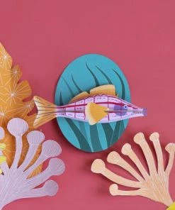 Studio Roof Longnose Hawkfish