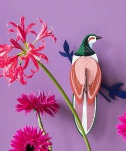 Studio Roof Rani Bird Of Paradise 3d Model Kit 7 Studio Roof Rani Bird Of Paradise 3d Model Kit