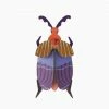 Studio Roof Queen Beetle Wall Decoration 2 Studio Roof Queen Beetle Wall Decoration