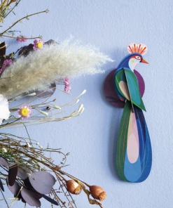 Studio Roof Paradise Bird, Banda