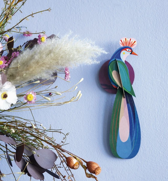 Studio Roof Paradise Bird, Banda 3 Studio Roof Paradise Bird, Banda