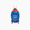 Studio Roof Fungus Beetle Wall Decoration 1 Studio Roof Fungus Beetle Wall Decoration