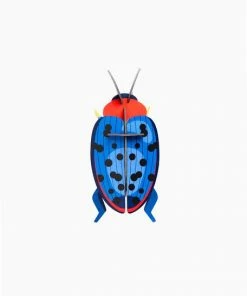 Studio Roof Fungus Beetle Wall Decoration