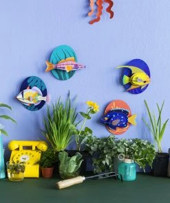 Studio Roof Longnose Hawkfish