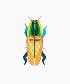 Studio Roof Madagascar Beetle 3 D Model Kit