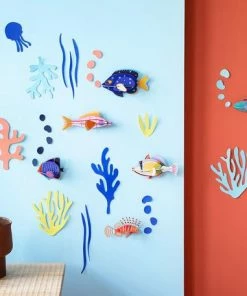 Studio Roof Wall Of Curiosities Fish Hobbyist