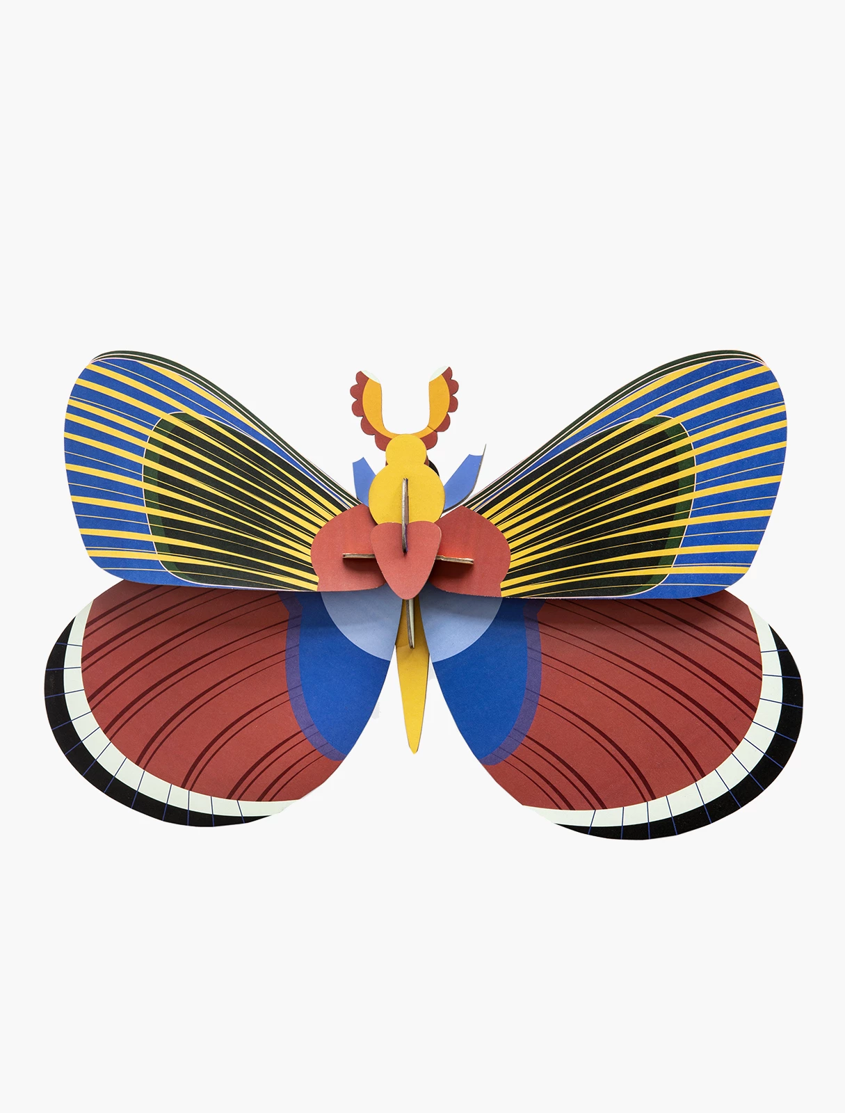 Studio Roof Giant Butterfly 4 Studio Roof Giant Butterfly