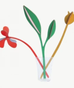 Studio Roof Spring Boogie