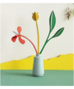 Studio Roof Spring Boogie