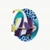 Studio Roof 3D Marine Angelfish 2 Studio Roof 3D Marine Angelfish