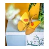 Studio Roof Yellow Butterfly 1 Studio Roof Yellow Butterfly