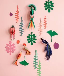 Studio Roof Mur De Curiosités Coffret De Décors Muraux Les Oiseaux