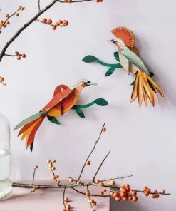 Studio Roof Obi Paradise Bird Deco 6 Studio Roof Obi Paradise Bird Deco