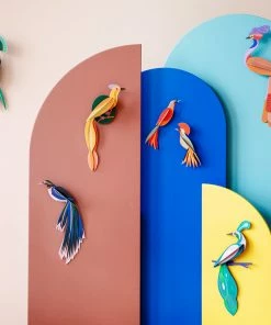 Studio Roof Paradise Bird Savu